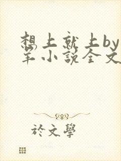 想上就上by迷羊小说全文免费阅读