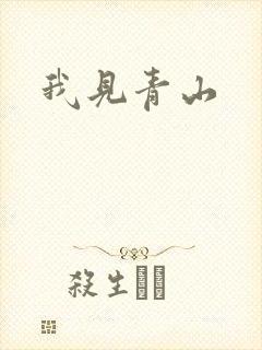 我见青山
