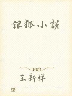 银狐小说