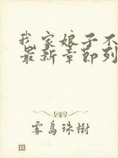 我家娘子不对劲最新章节列表免费