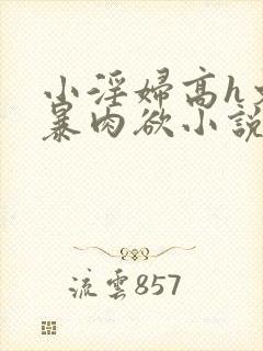 小淫妇高h文黄暴肉欲小说封面