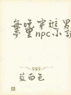 每晚穿进男神的梦里npc小说
