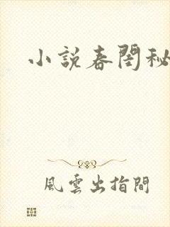 小说春闺秘史封面