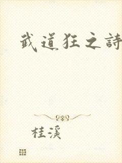武道狂之诗封面