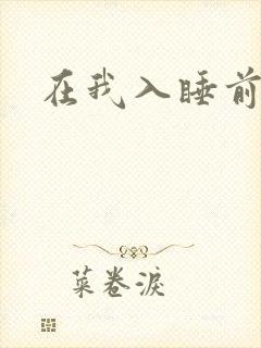 在我入睡前封面