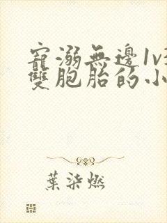 宠溺无边1v3双胞胎的小说