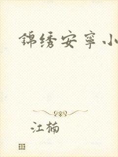 锦绣安宁小说