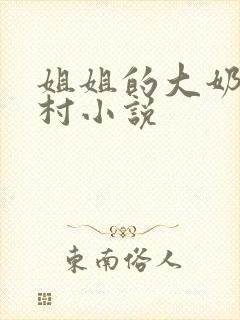 姐姐的大奶子乡村小说