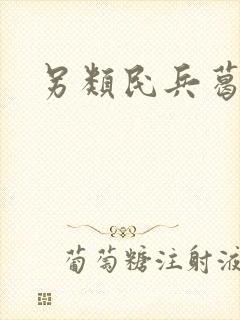 另类民兵葛二蛋