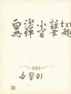 白洁小说txt无弹窗笔趣阁