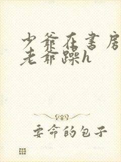 少爷在书房边被老爷躁h封面