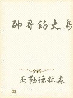 帅哥的大鸟