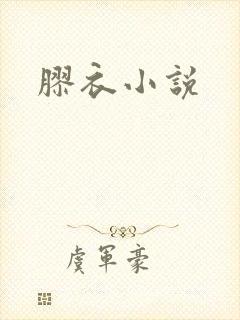 胶衣小说封面