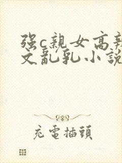 强c亲女高辣h文乱乳小说封面