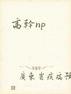 高干np