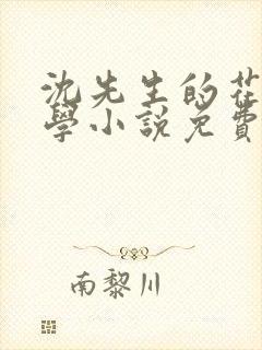 沈先生的花式教学小说免费封面