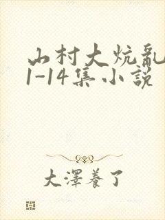 山村大炕乱肉续1-14集小说
