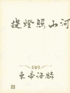 提灯照山河封面