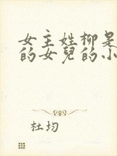 女主姓柳是丞相的女儿的小说