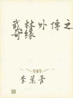 武林外传之同福奇缘封面