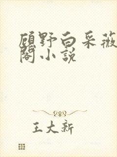 顾野白采薇笔趣阁小说