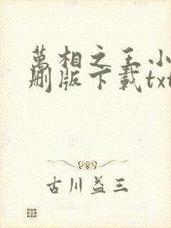 万相之王小说未删版下载txt