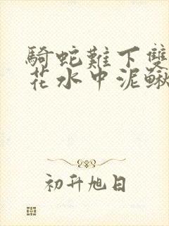 骑蛇难下双金银花水中泥鳅双男主封面