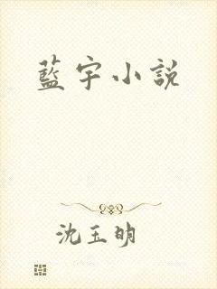 蓝宇小说