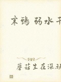 寒鸦 弱水千流