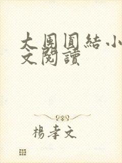 大团圆结小茹全文阅读