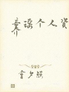 童瑶个人资料简介