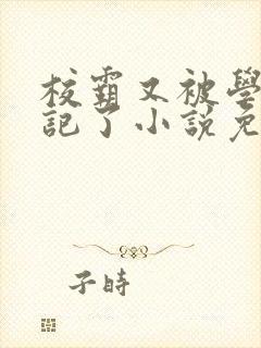 校霸又被学神标记了小说免费阅读封面