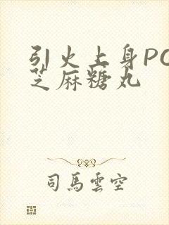 引火上身POP芝麻糖丸