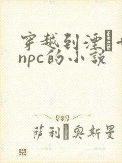 穿越到湮婸世界npc的小说