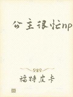 公主很忙npc封面