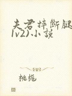 夫君摔断腿后(1v2)小说
