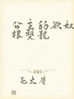 公主的欲奴h四根双龙