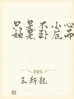 只是不小心发现她是卧底而已封面