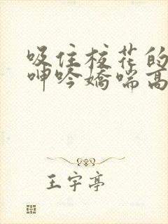 吸住校花的奶头呻吟娇喘高潮小说封面