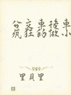 公交车后车座的疯狂的做小