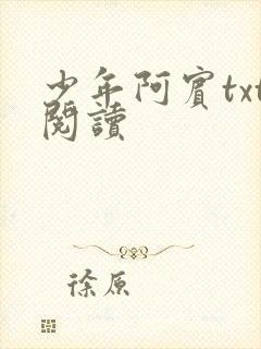 少年阿宾txt阅读
