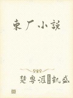 东厂小说封面