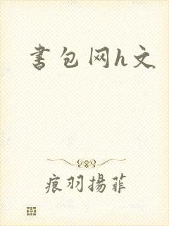 书包网h文