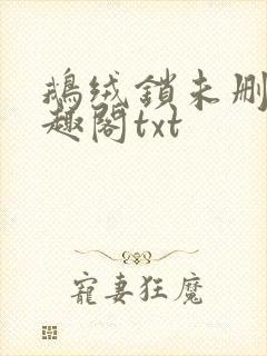 鹅绒锁未删除笔趣阁txt