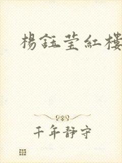 杨钰莹红楼封面