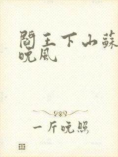 阎王下山苏文陆晚风封面