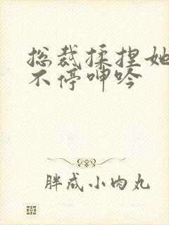 总裁揉捏她两乳不停呻吟封面