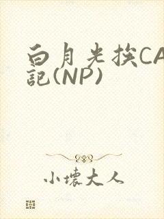 白月光挨CAO记(NP)