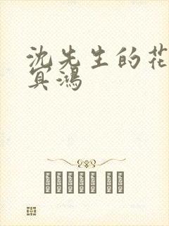 沈先生的花式调冥鸿封面