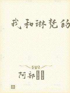我和琳梵的故事封面